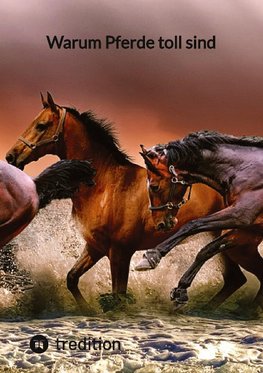 Warum Pferde toll sind