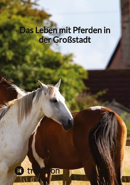Das Leben mit Pferden in der Großstadt