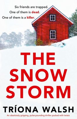 The Snowstorm