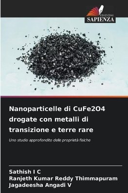 Nanoparticelle di CuFe2O4 drogate con metalli di transizione e terre rare