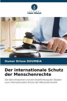 Der internationale Schutz der Menschenrechte