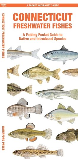 Connecticut Freshwater Fishes