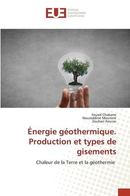 Énergie géothermique. Production et types de gisements