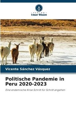 Politische Pandemie in Peru 2020-2023