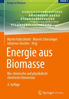 Energie aus Biomasse