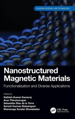 Nanostructured Magnetic Materials