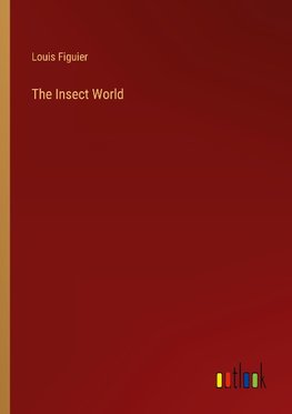 The Insect World