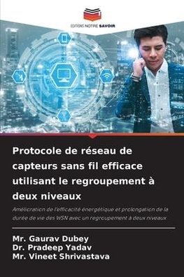 Protocole de réseau de capteurs sans fil efficace utilisant le regroupement à deux niveaux