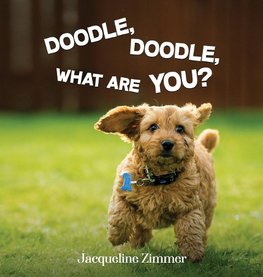 DOODLE, DOODLE, WHAT ARE YOU?