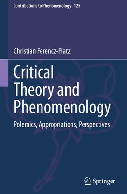 Critical Theory and Phenomenology