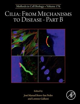 Cilia