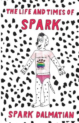 The Life and Times of Spark
