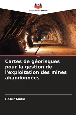 Cartes de géorisques pour la gestion de l'exploitation des mines abandonnées