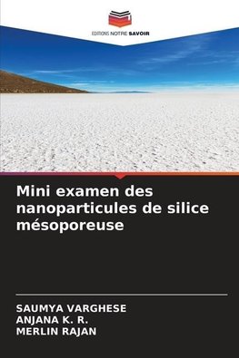 Mini examen des nanoparticules de silice mésoporeuse