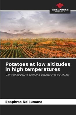 Potatoes at low altitudes in high temperatures