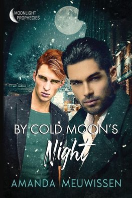 By Cold Moon's Night