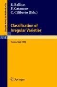 Classification of Irregular Varieties