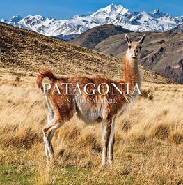 Patagonia National Park