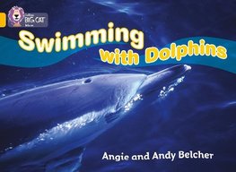 BIG CAT - SWIM W DOLPHIN