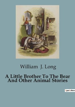 A Little Brother To The Bear And Other Animal Stories