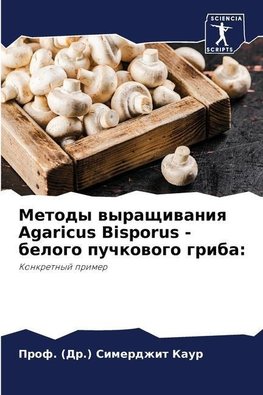 Metody wyraschiwaniq Agaricus Bisporus - belogo puchkowogo griba: