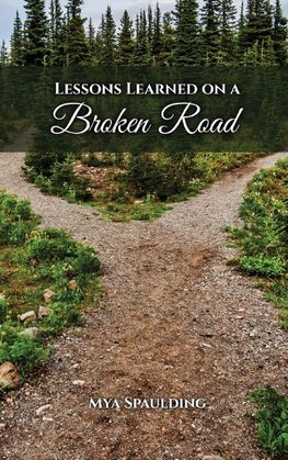 Lessons Learned on a Broken Road