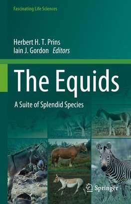 The Equids