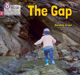 BIG CAT LW L&S THE GAP