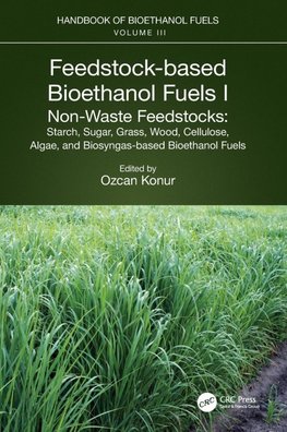 Feedstock-based Bioethanol Fuels. I. Non-Waste Feedstocks