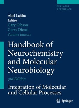 Brain Energetics. Integration of Molecular and Cellular Processes