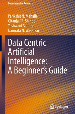 Data Centric Artificial Intelligence: A Beginner's Guide