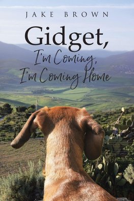 Gidget, I'm Coming, I'm Coming Home
