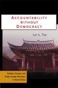 Accountability Without Democracy