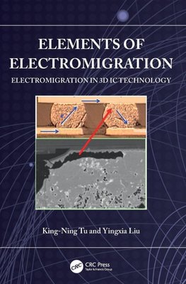 Elements of Electromigration