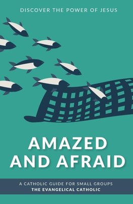Amazed and Afraid