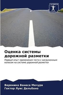 Ocenka sistemy dorozhnoj razmetki