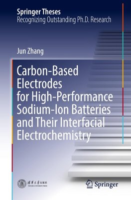 Carbon-Based Electrodes for High-Performance Sodium-Ion Batteries and Their Interfacial Electrochemistry