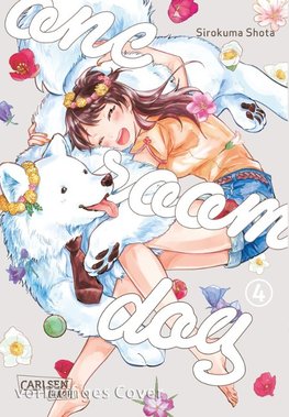 One Room Dog 4