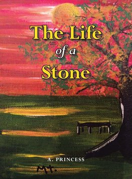 The Life of a Stone