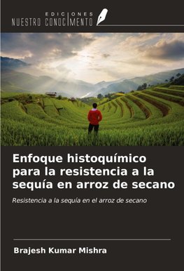 Enfoque histoquímico para la resistencia a la sequía en arroz de secano