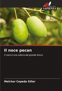 Il noce pecan