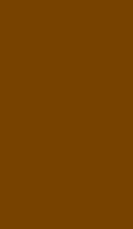 Ce truc marron au mur