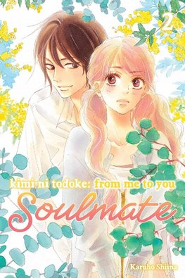 Kimi ni Todoke