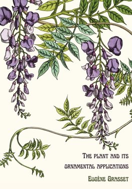 The plant and its ornamental applications