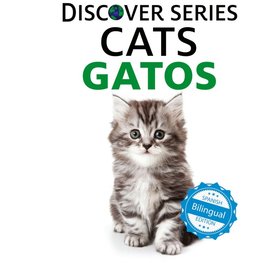 Cats / Gatos