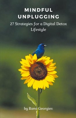 Mindful Unplugging