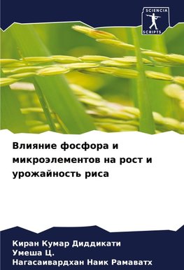 Vliqnie fosfora i mikroälementow na rost i urozhajnost' risa