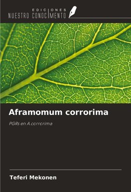 Aframomum corrorima