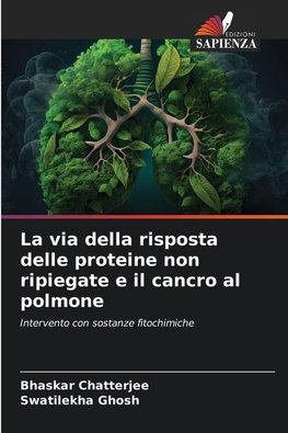 La via della risposta delle proteine non ripiegate e il cancro al polmone