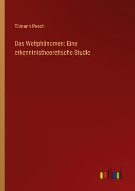 Das Weltphänomen: Eine erkenntnistheoretische Studie
